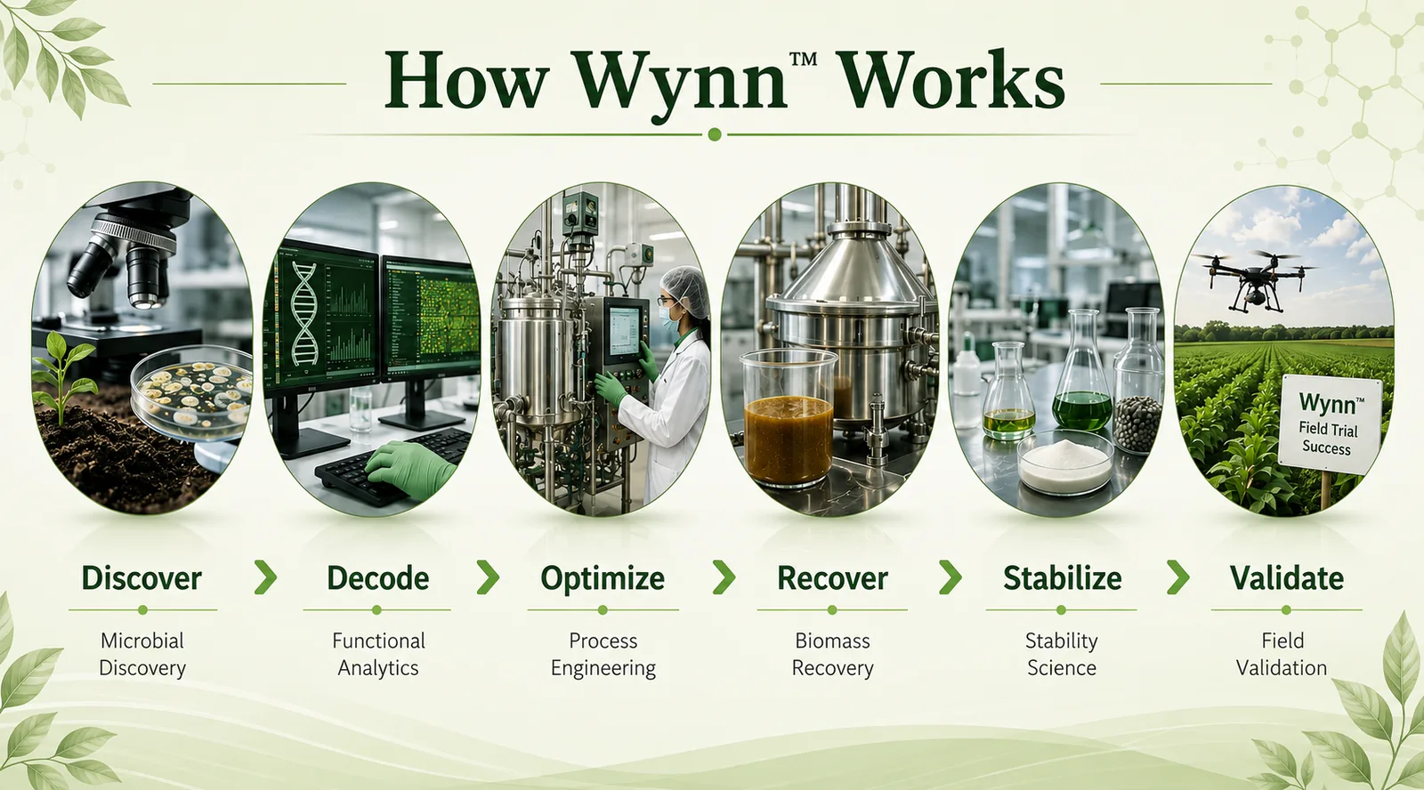 Wynn bioprocess fermentation and microbial development laboratory
